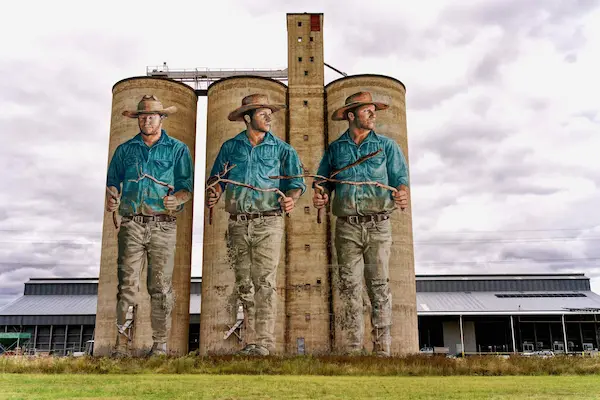 Barraba Silo Art (3)